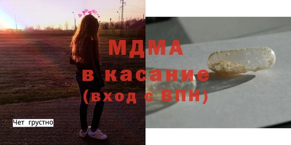 ГАЛЛЮЦИНОГЕННЫЕ ГРИБЫ Михайлов