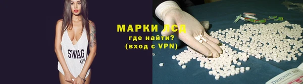 ГАЛЛЮЦИНОГЕННЫЕ ГРИБЫ Михайлов