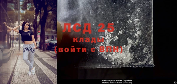 ГАЛЛЮЦИНОГЕННЫЕ ГРИБЫ Михайлов