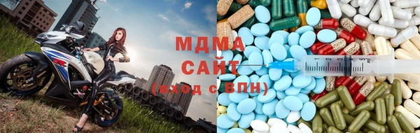 ГАЛЛЮЦИНОГЕННЫЕ ГРИБЫ Михайлов