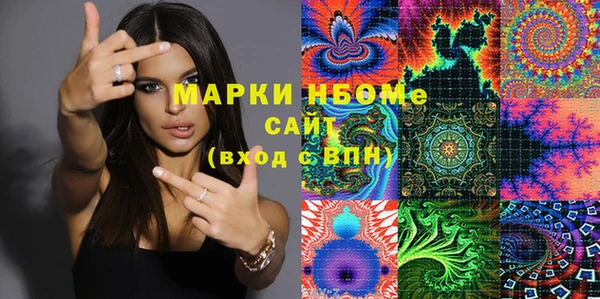 ГАЛЛЮЦИНОГЕННЫЕ ГРИБЫ Михайлов