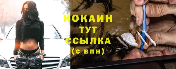 ГАЛЛЮЦИНОГЕННЫЕ ГРИБЫ Михайлов