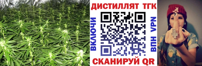 ТГК Wax  Коломна 