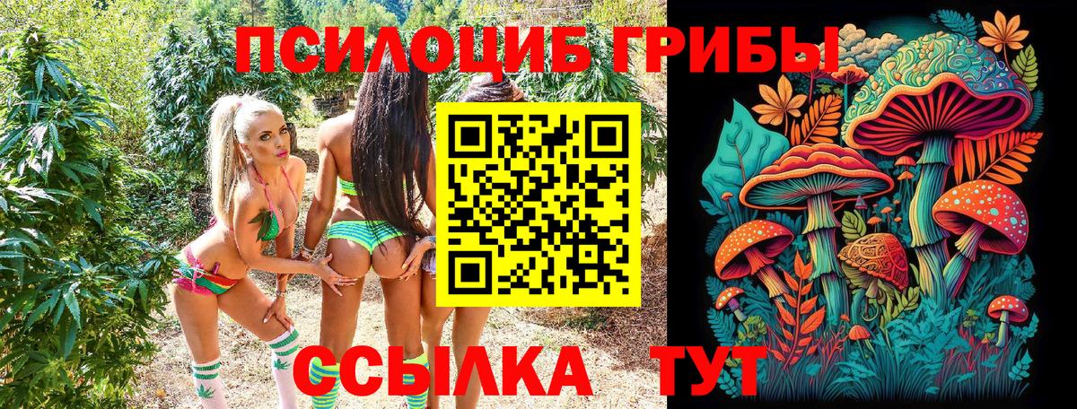 Галлюциногенные грибы мицелий  Галлюциногенные грибы MAGIC MUSHROOMS  Вход с VPN  купить наркотики цена  Коломна 